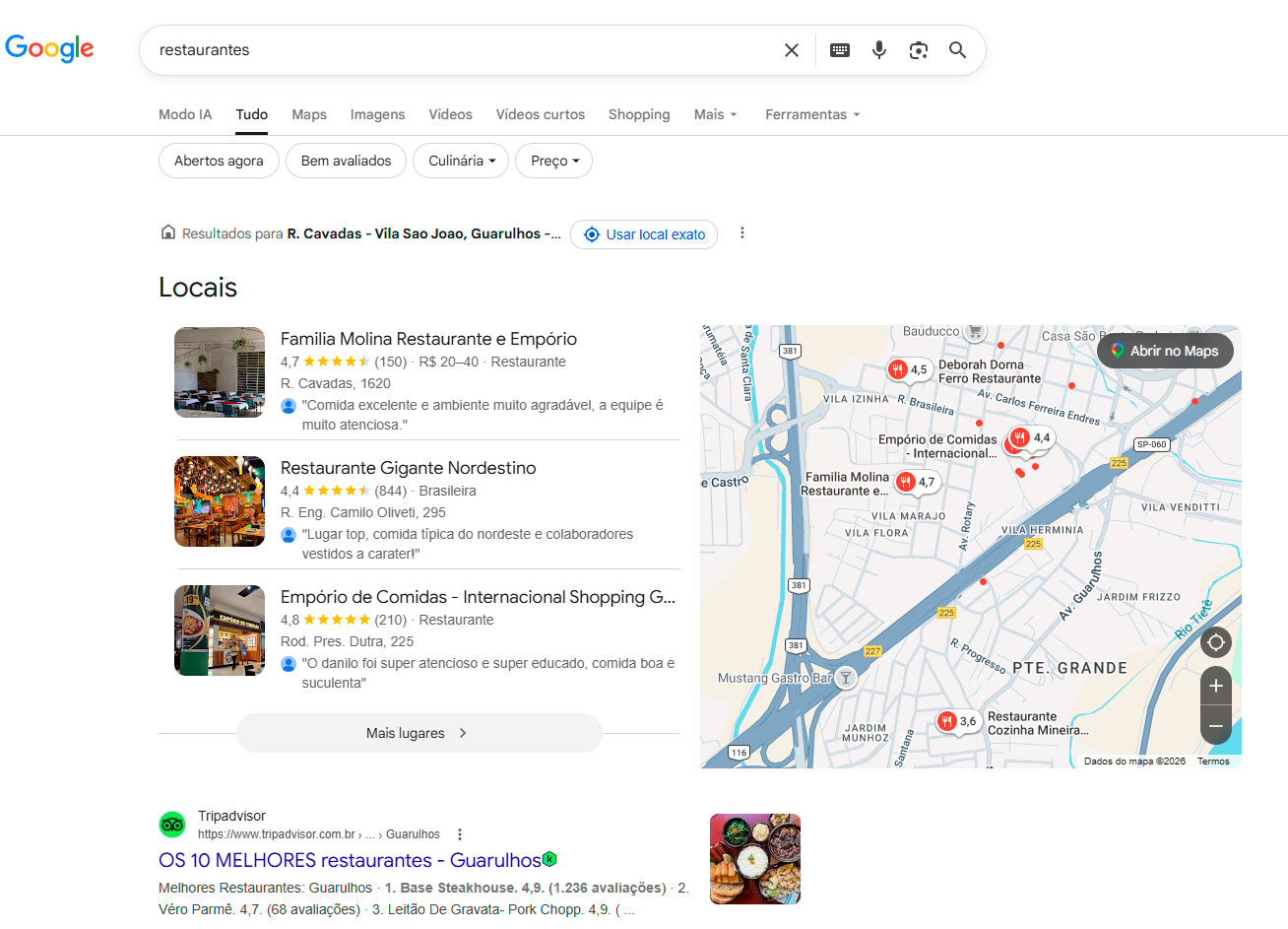 Sites Otimizados SEO e Criação de Sites - TLG Meu Site na Busca Local do Google